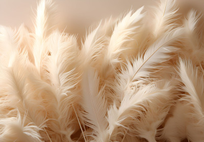 Papier peint plumes beige boho nature douce salon chambre