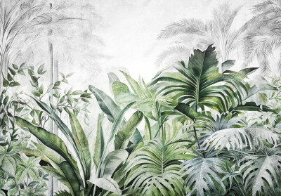 Papier peint jungle monstera feuilles bananier vert botanique salon