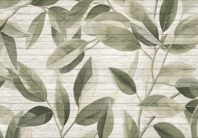 Papier peint grandes feuilles ficus vert planches bois blanc salon