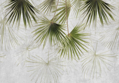 Papier peint feuilles palmier éventail vert béton minimaliste salon