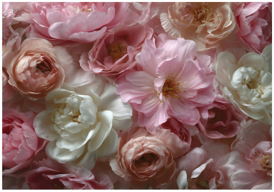 Papier peint photo fleurs pivoines nature chambre salon papier peint intissé 250 x 175