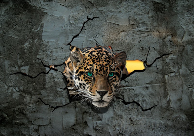 Papier peint mural 3D « Jaguar » effet fissuré, gris, pour salon ou chambre d'enfant