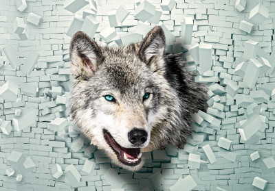 Papier peint mural 3D « Loup » pour salon avec mur en ruine