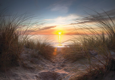 Papier peint mural : plage, coucher de soleil, dunes, mer, salon
