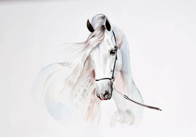 Papier peint mural représentant une tête de cheval arabe, blanc, pour le salon
