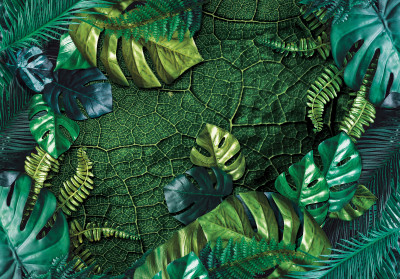 Papier peint mural « Feuilles tropicales et terre craquelée » pour le salon