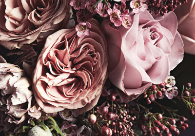 Papier peint mural « Roses et pivoines rose poudré » pour le salon