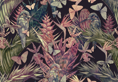Papier peint mural « Oiseaux tropicaux sombres et papillons » pour le salon