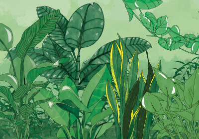 Papier peint mural « Feuilles de la jungle verte » pour le salon