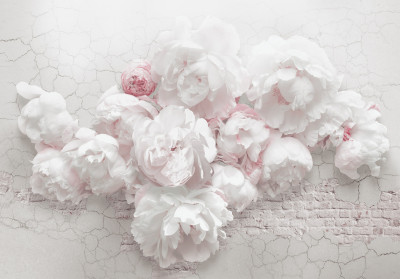 Papier peint 3D « Pivoines sur mur fissuré » pour le salon