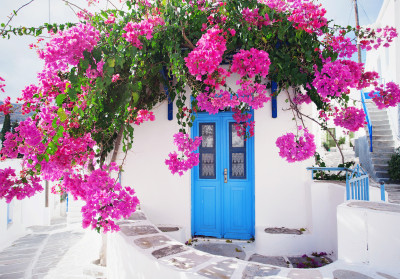 Papier peint mural « ruelle grecque et bougainvilliers » pour le salon