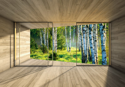 Papier peint mural « Fenêtre sur une forêt de bouleaux » pour le salon