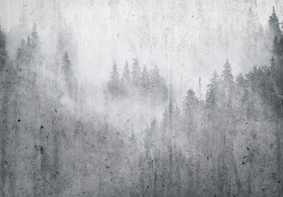 Papier peint mural « Forêt brumeuse » pour salon en béton