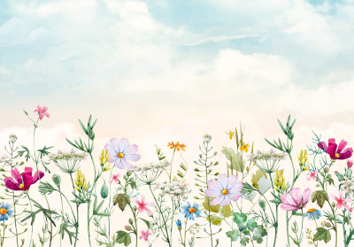 Papier peint mural « Prairie de fleurs sauvages et ciel » pour le salon