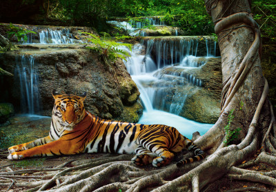 Papier peint mural « Tigre, cascade et jungle » pour le salon