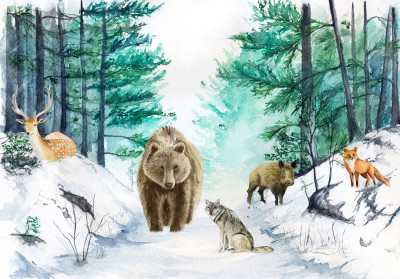 Papier peint mural « Animaux de la forêt en hiver » pour chambre d'enfant