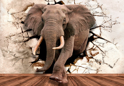 Papier peint mural 3D « Éléphant » pour le salon