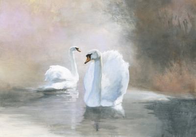 Papier peint mural « Cygnes sur un lac brumeux » pour le salon
