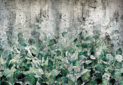 Papier peint mural « Feuilles de lierre sur fond béton » pour le salon