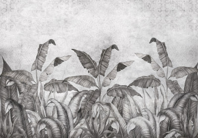 Papier peint mural « Feuilles de bananier sur fond béton » pour salon
