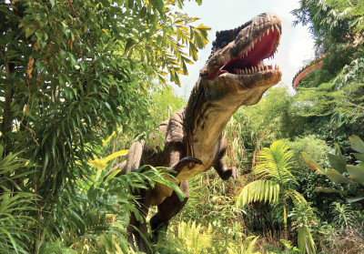 Papier peint mural dinosaure T-Rex pour chambre d'enfant sur le thème de la jungle