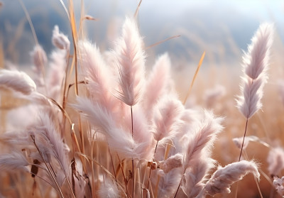 Papier peint mural « Pink Grasses » pour un salon de rêve