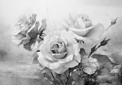 Papier peint mural noir et blanc avec des roses aquarellées pour le salon