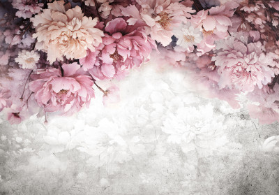 Papier peint mural « Pivoines roses sur fond de béton » pour le salon