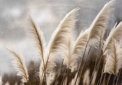 Papier peint mural « herbe de la pampa » style bohème, beige et gris, pour le salon ou la chambre