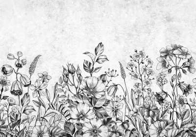 Papier peint mural représentant une prairie fleurie, gravure en noir, blanc et gris, pour le salon ou la chambre à coucher